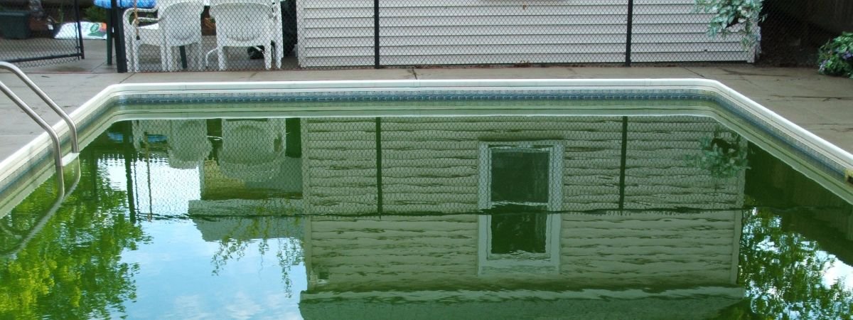 Ignoring Small Signs of Algae