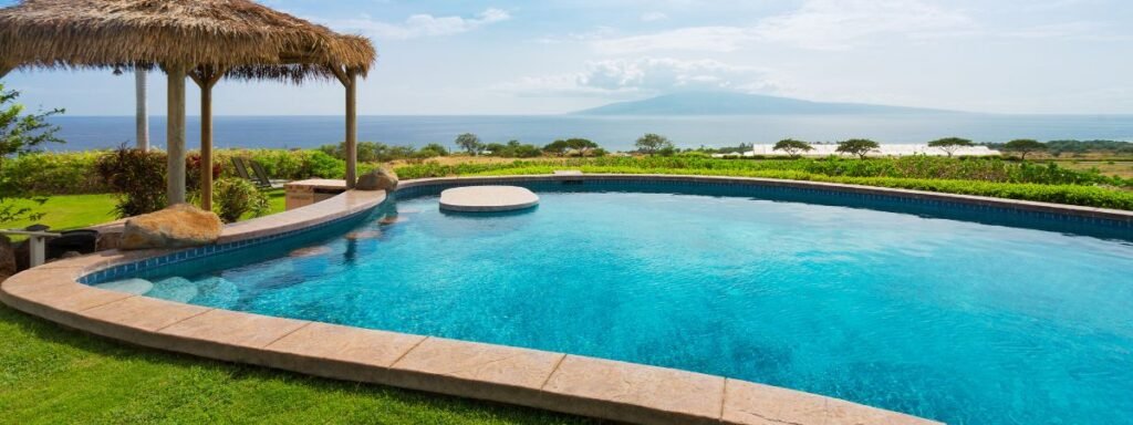 How To Get Rid of Algae
