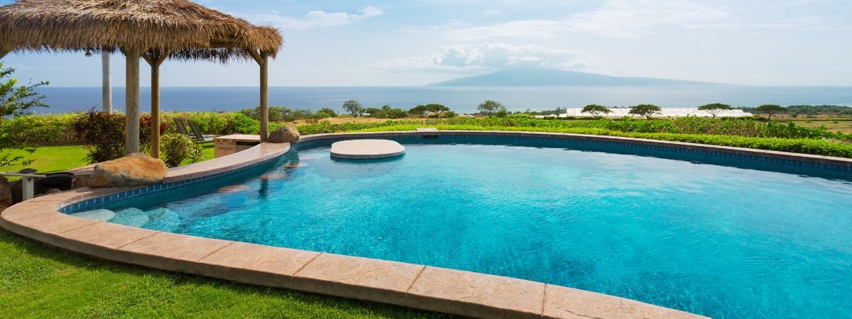 How To Get Rid of Algae